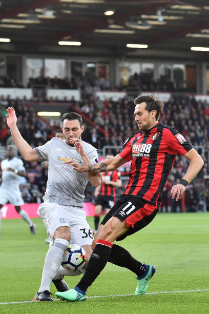 仅展示了中 仅展示了中